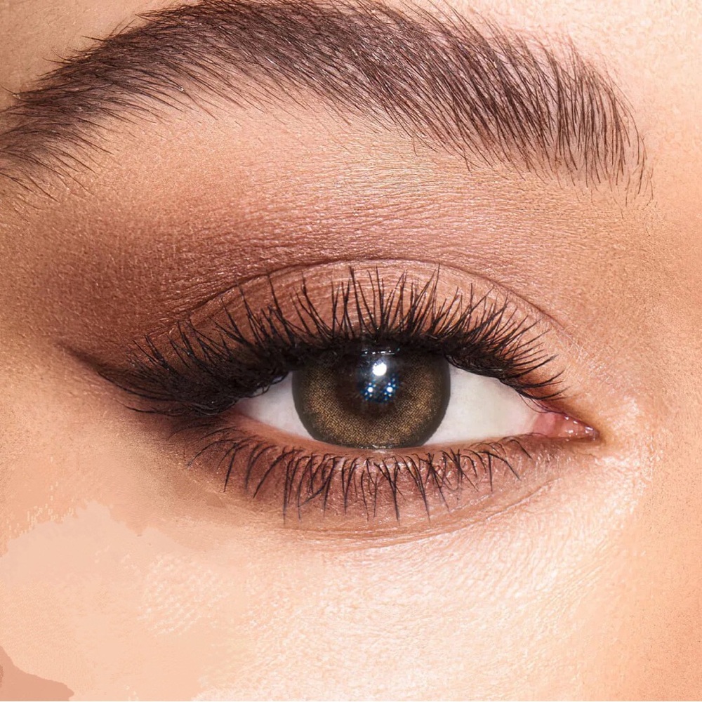 lenses contac chesnut brown